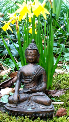 BuddhaGul